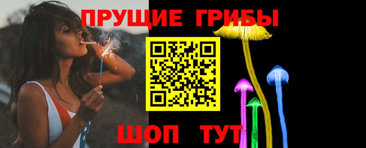 Псилоцибиновые грибы мицелий  Псилоцибиновые грибы Psilocybe  Вход с VPN  Ессентуки 