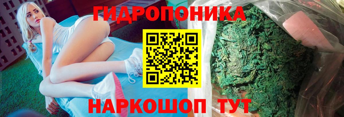 Шишки марихуана SATIVA & INDICA  Шишки марихуана LSD WEED  Ессентуки  Вход с VPN 